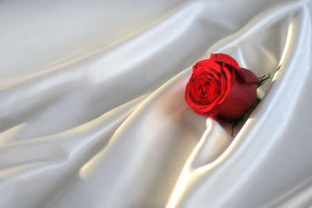 Red rose over silkの写真素材