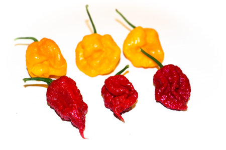 Mix of hot peppers. Carolina reaper red and Trinidad scorpion yellow