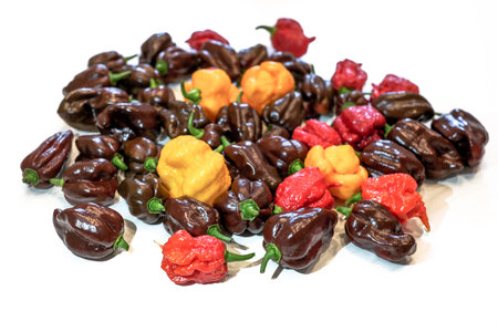 Mix of hot peppers - Habanero chocolate, trinidad scorpion yellow and Carolina reaper red