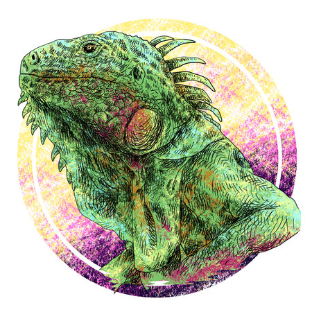 This artwork illustrasion about iguana like a dragon, with handrawn sketch styleの写真素材