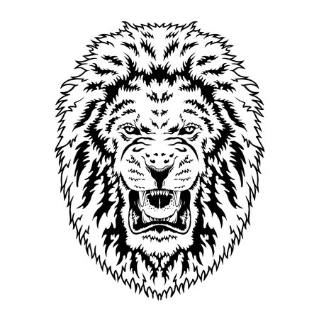 This artwork illustrasion about head lion, with handrawn line art styleの写真素材