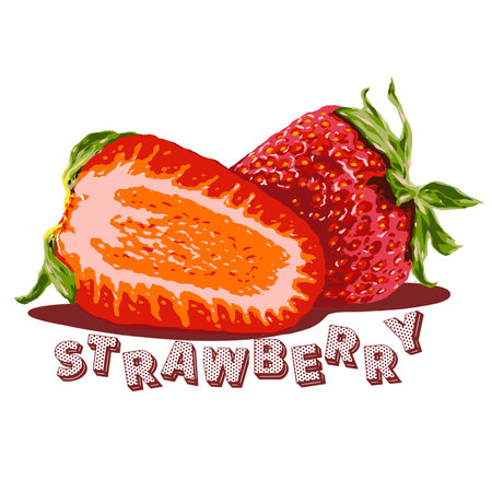 This artwork illustrasion about strawberry fruit, many benefits for the health of the bodyの写真素材