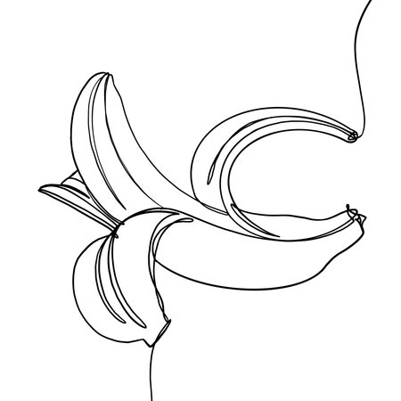Illustration work about banana fruit with an artistic, spontaneous line art drawing styleの写真素材