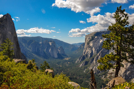 Gorgeous Yosemite National Park, California, USA.