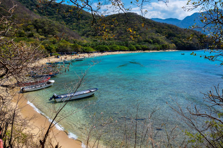 Crystal Beach at Tayrona National Park, Colombia.のeditorial素材
