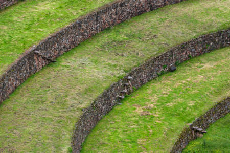 Moray Incaの写真素材