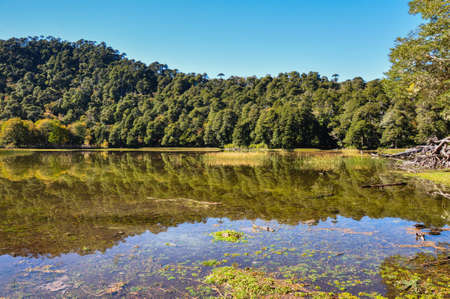 Trekking in Reserva El Cani, near Pucon, Chile.の写真素材