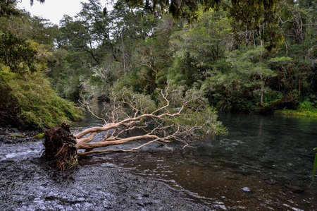 P?trohu? basin on one of the many trails around, Chile.の写真素材
