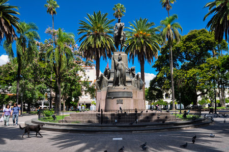 Saltaのeditorial素材