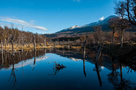 Landscapes of Tierra del Fuego, South Argentina.の写真素材