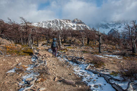 Trekker in Fitz Roy trail, South Argentina.の写真素材