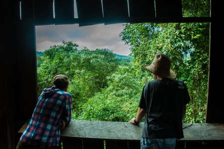 Having a beautiful view over the jungle in Misiones, Argentina.のeditorial素材