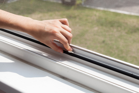Installing mosquito nets for plastic windowsの写真素材