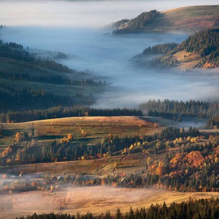 Foggy autumn in the Carpathian mountainsの写真素材
