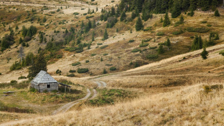 Single wooden house on slope meadow in Carpathian mountainsの写真素材