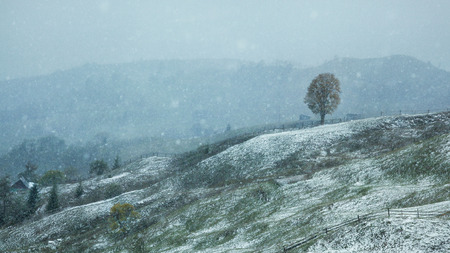 The first snow in the Carpathian mountainsの写真素材