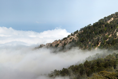 Rocky Mountains in Turkey tightened fogの写真素材