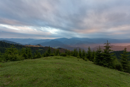 Summer Carpathian Mountains in Ukraine. Green lug and a dense forest.の写真素材