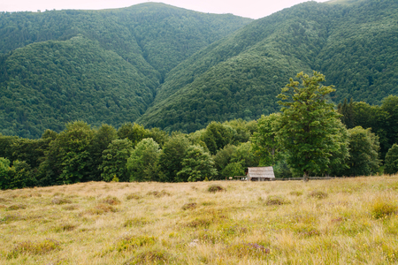 Landscape with small hous on the slopes of the Carpathian Mountains in Ukraineの写真素材