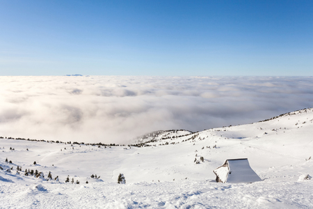 Winter landscape of the Carpathian Mountains in Ukraine. The top is tight fog and obscured by clouds.の写真素材