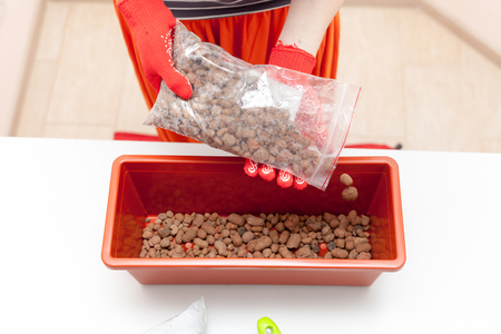 Woman's hands in gloves pours drainage and fertilizer into a plastic container. Preparation of seeds for planting in the ground.の写真素材
