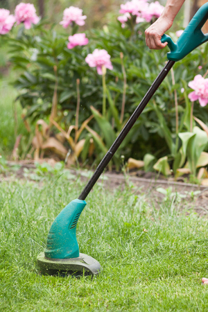 Gasoline lawn trimmer mows juicy green grass on a lawn on a sunny summer day. Garden equipmentの写真素材