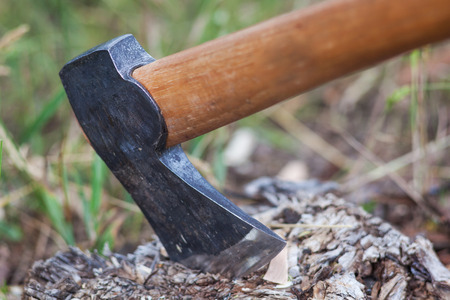 The axe in the tree. Tourist camp. Chopping wood in the forest in detailsの写真素材