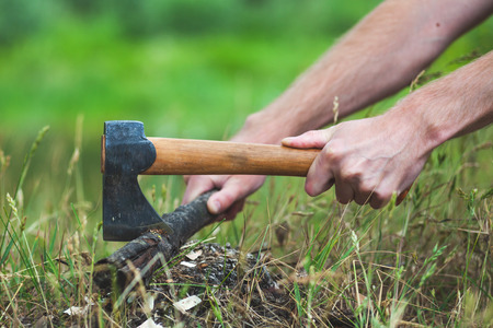 Man is chopping wood with axeの写真素材