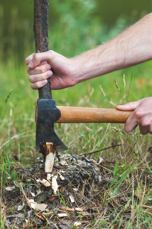 Man is chopping wood with axeの写真素材