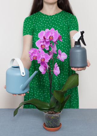 A florist girl holds a watering can and a sprayer near a purple orchidの写真素材
