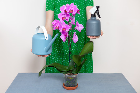 A florist girl holds a watering can and a sprayer near a purple orchidの写真素材
