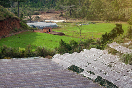 Abandoned greenhouses. Top viewの写真素材