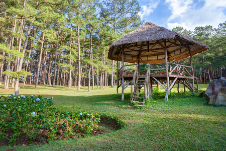 A pavilion or gazebo in a beautiful public garden park.の写真素材