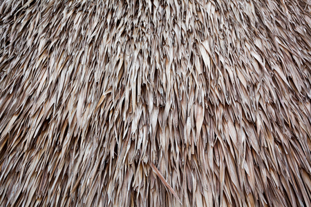 Close-up part of roof with palm leavesの写真素材
