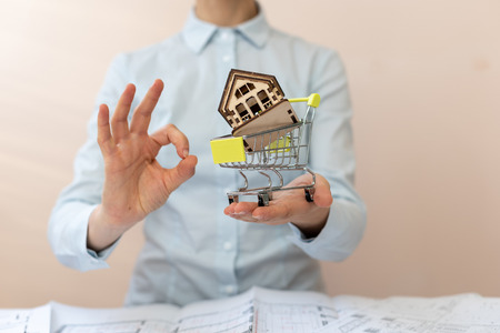 Advertising concept. Best deal buying apartment flat! Confident lady in her formalwear stand indoor workplace office. She show ok sign hold small shopping cart with little house insideon palm handの写真素材