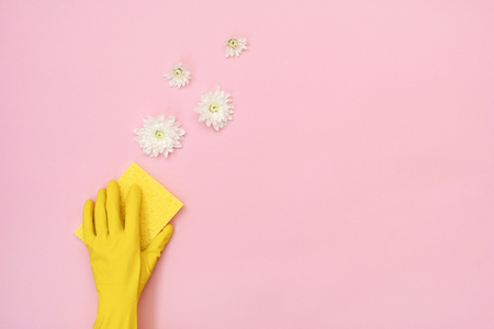Woman in yellow gloves holding soft and small sponge for washing in her hand isolated on pastel pink background with empty space for text and white flowersの写真素材