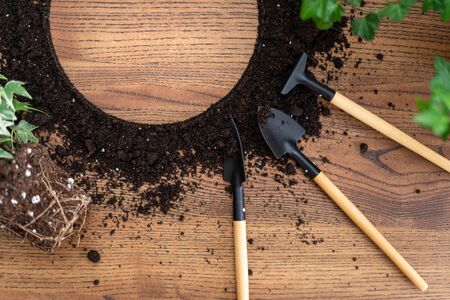 Flat lay with copy space and set of gardening object, flowers in pots lying on wooden tableの写真素材