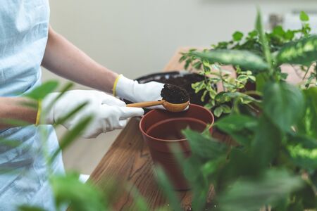 Side view of young gardener woman with special tool pours ground for plants in new brown pot standing behind wooden table at homeの写真素材