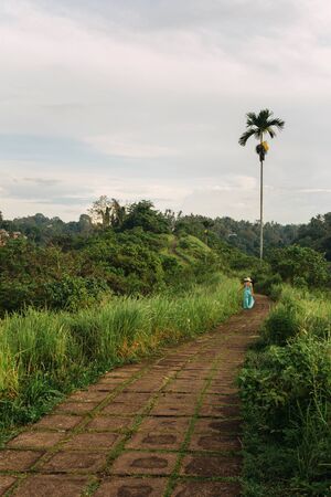 Young adult traveler woman walking on Campuhan Ridge way of artists in Bali, Ubud. Beautiful calm sunny morning in peaceful landscape jungleの写真素材