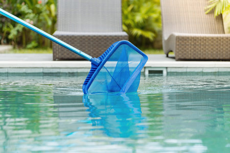 Cleaning swimming pool of fallen leaves with skimmer net equipment against sun resort loungers at...