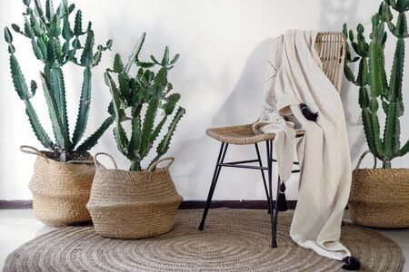Concept of contemporary and authentic house decor. Modern room with contemporary interior design, copy space on wall, wicker chair, plaid, carpet on floor and cactus plants in basketsの写真素材