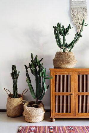 Vertical photo of authentic room with comfortable and cozy interior design, wooden dresser, ethnic rug on floor, cactus plants in baskets against white wall on backgroundの写真素材