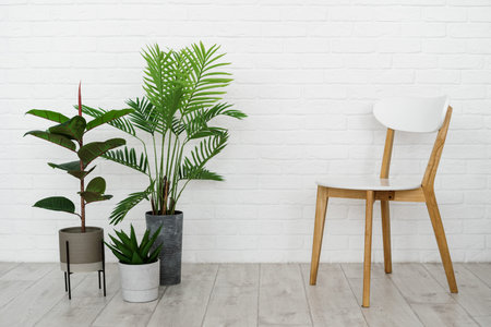 New contemporary living room in house with modern interior, wooden chair, green houseplant in flowerpot on laminate floor against white brick wall with copy spaceの写真素材