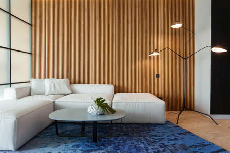 Modern living room in house with contemporary interior design, comfortable sofa, carpet on floor, lamplight lamp, decor on table and wooden panel on copy space backgroundの写真素材