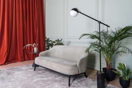 Side view of contemporary interior design in modern house with rug near couch, houseplants in flower pots, lamp, dry plant in vase on table against copy space wall with red curtain in living roomの写真素材
