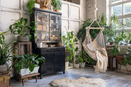 Cozy rope swing in living room with green houseplants in flower pot and black vintage chest of drawers. Comfort room with furniture in house with modern interior designの写真素材