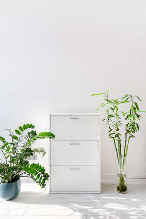 Vertical view of houseplant and bamboo plant in vase standing on wooden floor near modern chest of drawer. Minimalistic furniture against white copy space wall in contemporary living roomの写真素材
