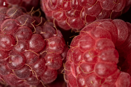 Macro view of sweet, red and ripe raspberry fruit