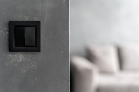 Close up shot of modern double black light switch on edge of gray wall in living room, big comfortable beige couch in blurred background, minimalist living spaceの写真素材