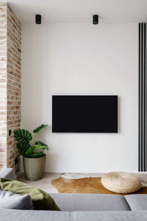 View of black blank TV screen seen from comfy gray couch in stylish minimalist living room with brick wall and cow skin rug decorated with green potted plant on floor and black matte ceiling lightsの写真素材